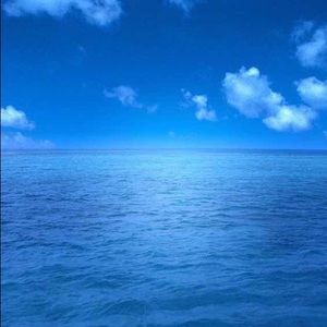 Meet your Posher, Chen